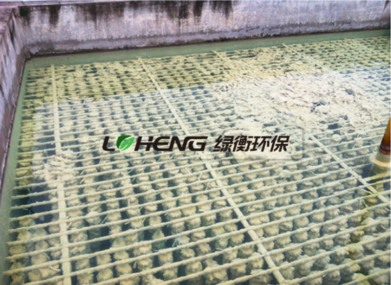 1563271434782089.png 1.png