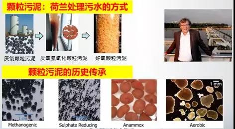 1565570490722698.jpg 3.jpg